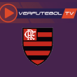 Assistir jogo do Flamengo ao vivo hoje